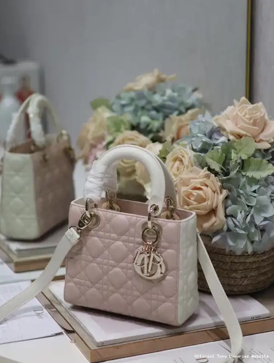 Tony Luxuries LADY DI0R-20CM 0419